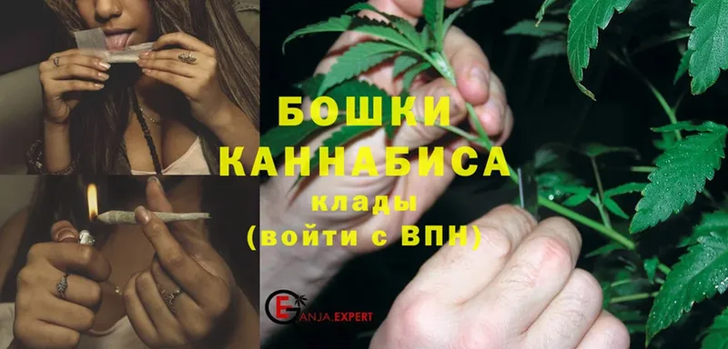 даркнет как зайти  Пошехонье  Бошки марихуана Bruce Banner 